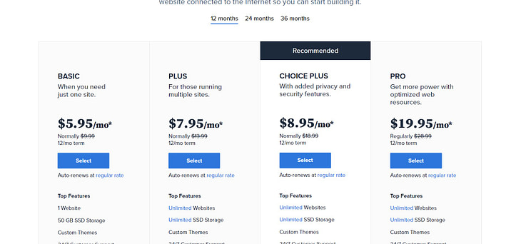 bluehost shared hosting price
