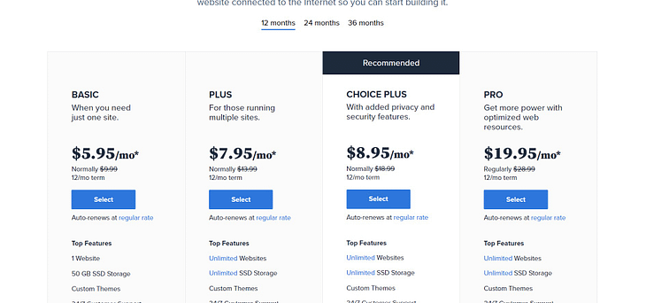 bluehost shared hosting price
